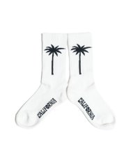 画像2: 【SALT&MUGS】Tropical Socks (2)